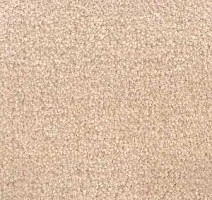 Ковролин Radici Admiral Warm Beige 2230 фото 1 | FLOORDEALER